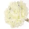 50-Pack: Cream White Rose Picks, 8&#x22; Stems, 3&#x22; Wide by Floral Home&#xAE;